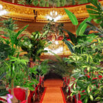Operahus spiller koncert for planter | Magasinet KLASSISK