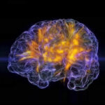 Neuro-recital: Få et kig ind i solisthjernen | Magasinet KLASSISK