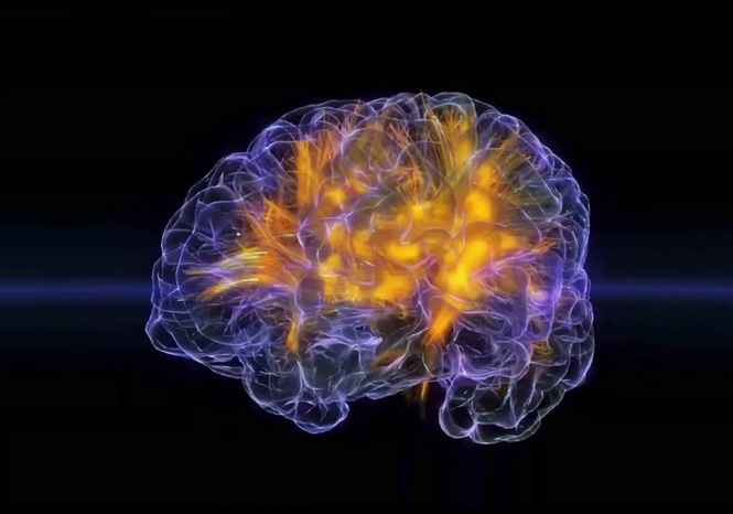 Neuro-recital: Få et kig ind i solisthjernen | Magasinet KLASSISK