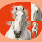 Nyt samarbejde mellem Roms største musikinstitutioner | Magasinet KLASSISK