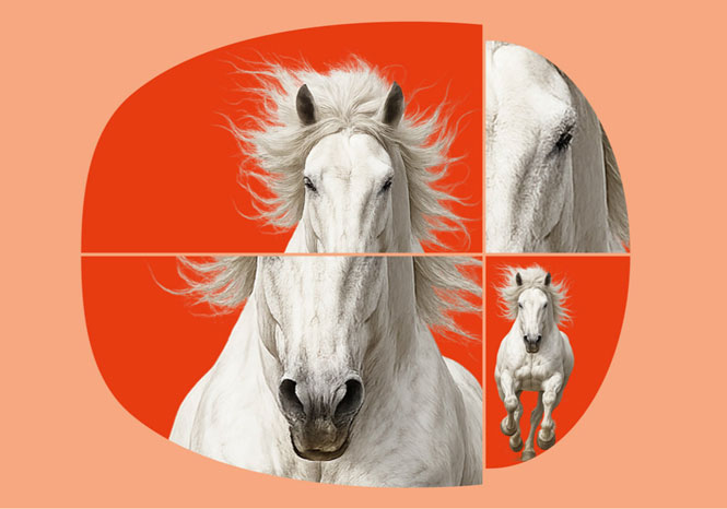 Nyt samarbejde mellem Roms største musikinstitutioner | Magasinet KLASSISK